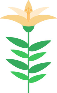 简约花朵植物插画