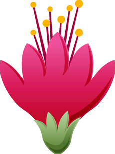 鲜艳绽放的粉色花朵