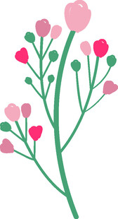 粉色花卉植物插画图案