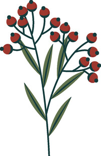 红色小花植物插画