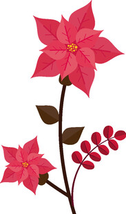 红色花卉插画