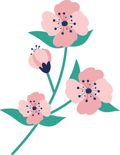 粉色花卉插画