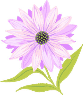 紫色花卉插画