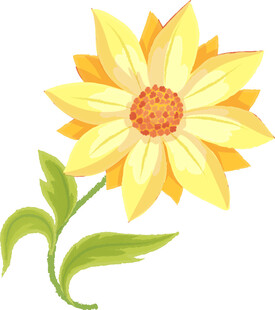 黄色花朵插画