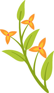橙色小花绿叶植物插画