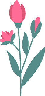 粉色花卉插画