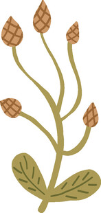 植物松果插画图案设计
