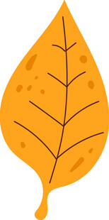 黄色枫叶插画