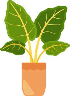 盆栽绿叶植物插画