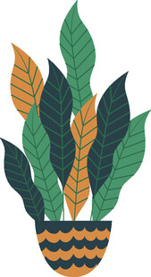 盆栽植物插画