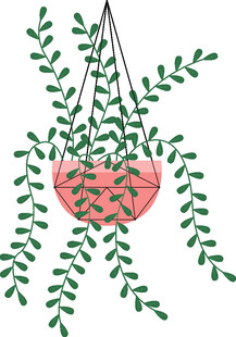 心形吊篮绿植装饰图