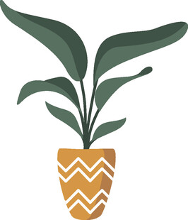 盆栽植物插画