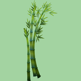翠绿双竹插画