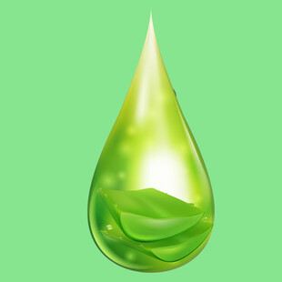绿叶水滴