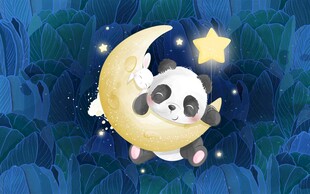 熊猫在月牙上甜美入睡