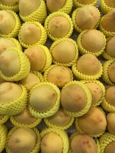 黄桃 桃子