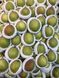 青梨 香梨