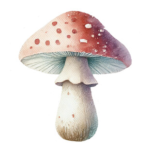 手绘梦幻斑点蘑菇插画