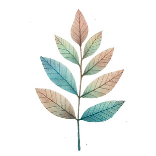 水彩绘多彩叶片植物图