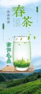 春茶上市 品味清新绿意