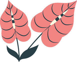 粉色条纹叶片插画图案