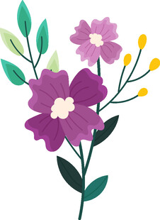 紫色花卉插画