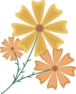三朵绚丽花朵插画
