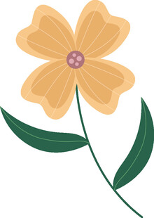 黄色花朵插画