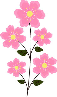 粉色小花插画