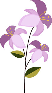 紫色花卉插画