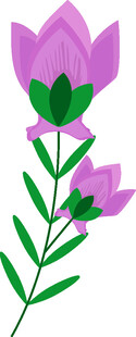 紫色花朵插画