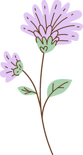 紫色花卉插画