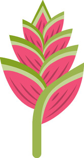 粉色绿叶植物插画图案