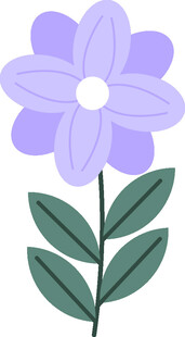 紫色花朵插画
