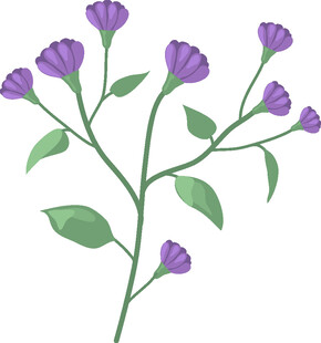 紫色花卉插画