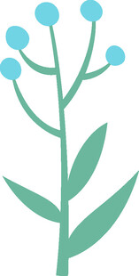 简约蓝色小花植物插画