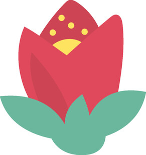 红色莲花图标