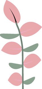 粉色叶片植物插画