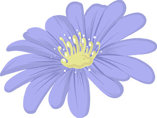 紫色花朵插画