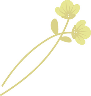 简约金色花朵植物图案