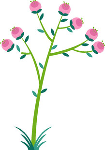 粉色花朵插画植物图案