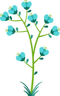蓝色花朵插画植物图案