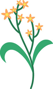 手绘黄色小花植物图案