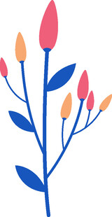 多彩花卉插画