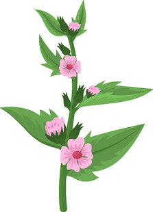 粉色小花绿叶植物插画