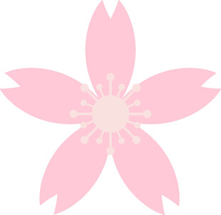 粉色樱花花朵图案