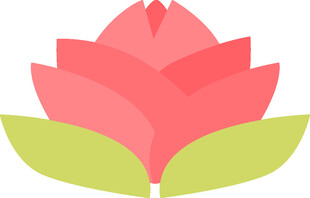 粉色莲花图标
