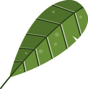 绿色叶脉叶片插画
