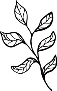 手绘枝叶图案