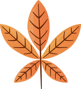 五片橙色叶片插画图案